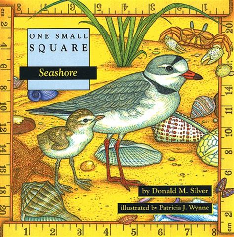 Seashore (One Small Square)