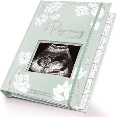 Seeded Bundle (24 Book Box Set) (Taboo Pregnancy)