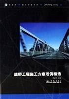 Selected examples of bridge construction programs - (1CD)