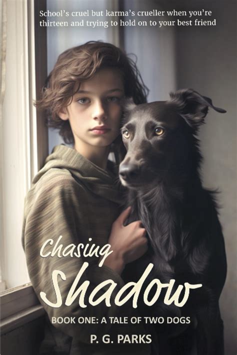 Shadow Chasing Shadow