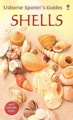 Shells: Shells in Photographs