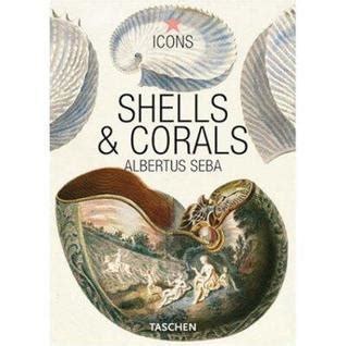 Shells and corals