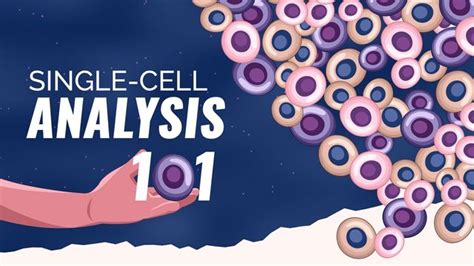 Single Cell Analysis