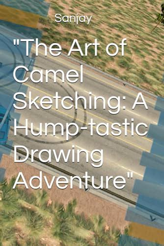 Sketching Camel