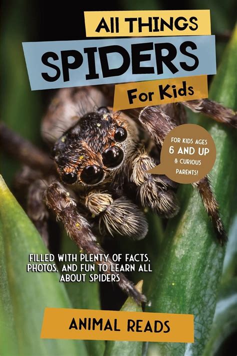 Small Spiders