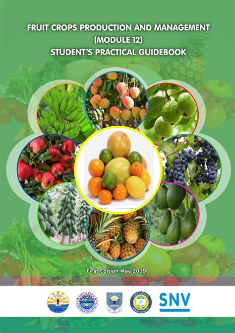 Small-Scale Fruit Production: A Comprehensive Guide