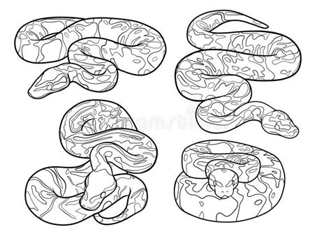 Snake drawing book: Python drawing book