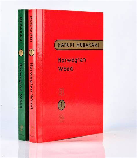 Snublesteinen (Norwegian Edition)