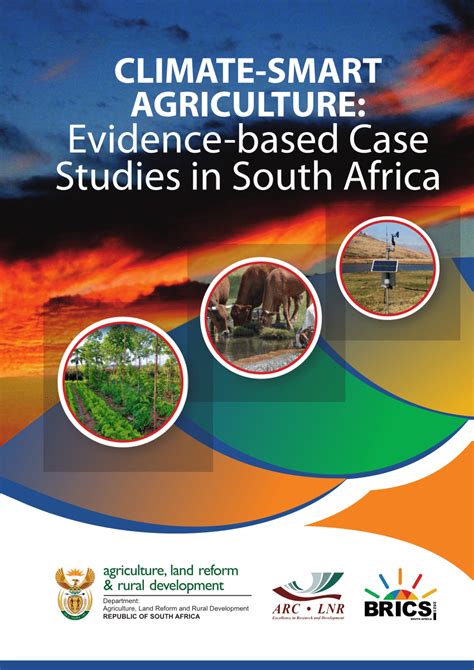 Software Licensing: Smart Guide based on Case Studies