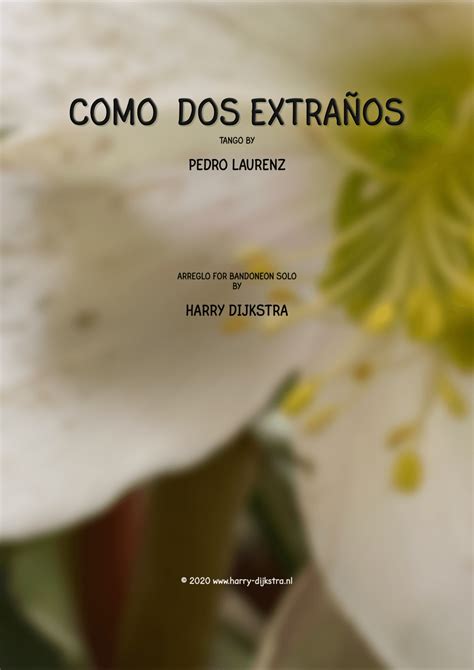 Solo Dos Extranos
