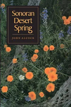 Sonoran Desert Spring