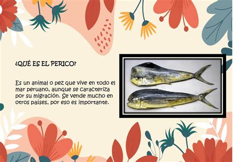 Sos Perico i que