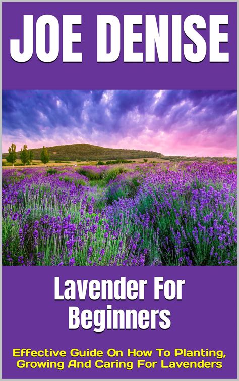 Spanish Lavender
