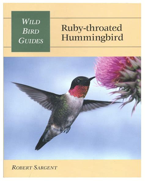 Stackpole Books STACKSP103 WBG Ruby-Throated Hummingbird