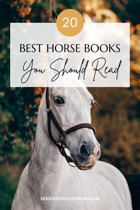 Standards For Equestrian Programs