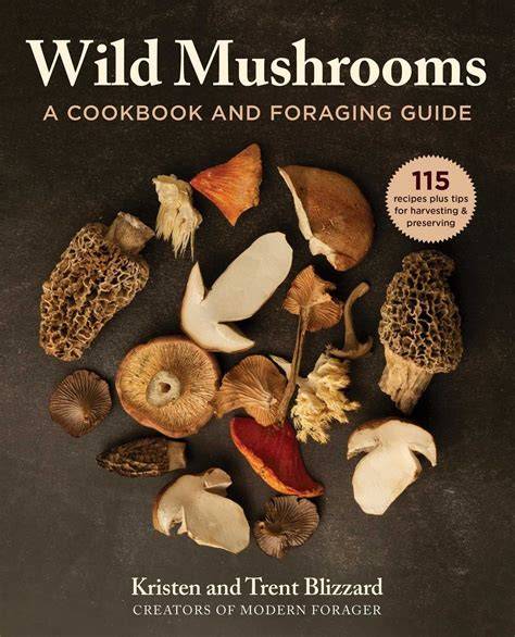 Start Mushroom New