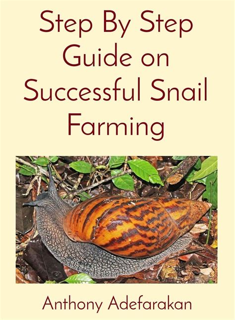 Step By Step Guide on Successful Snail farming