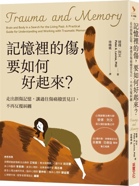 Storm for Brain Memory (Chinese Edition)