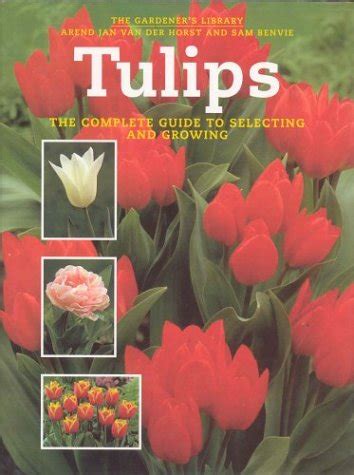 Storming the Tulips
