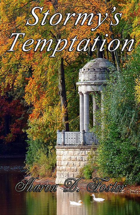 Stormy's Temptation (The PerfectPeace Collection)