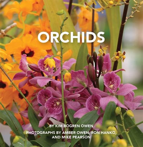 Success With Orchids