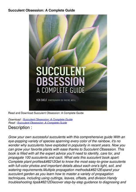 Succulent Obsession: A Complete Guide