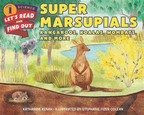 Sugar Gliders (Marsupials)