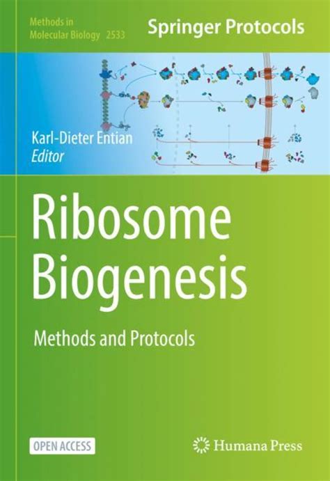 THE RIBOSOME