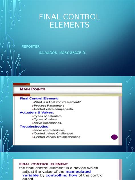 TPC Training Systems - Final Control Elements