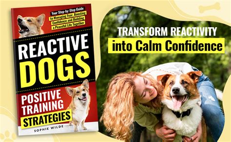 TRAINING REACTIVE DOGS