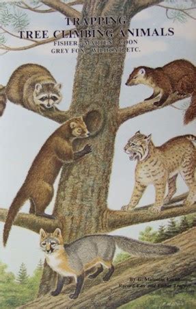 TRAPPING TREE CLIMBING ANIMALS