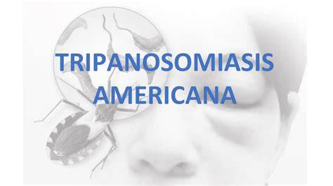 TRIPANOSOMIASIS AMERICANA