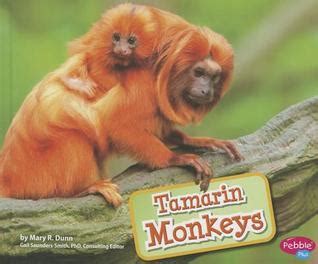 Tamarin