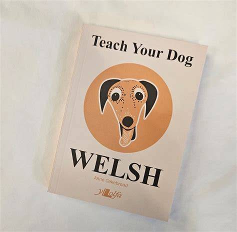 Teach your Dog Welsh