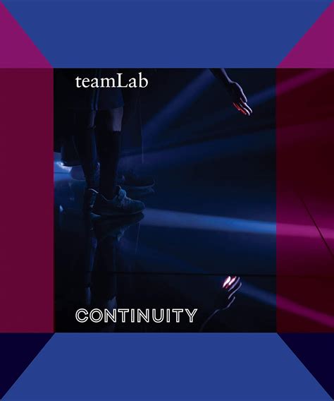 Teamlab: Continuity