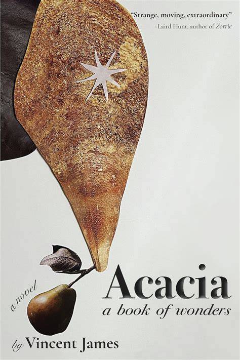 Tears Acacia(Chinese Edition)