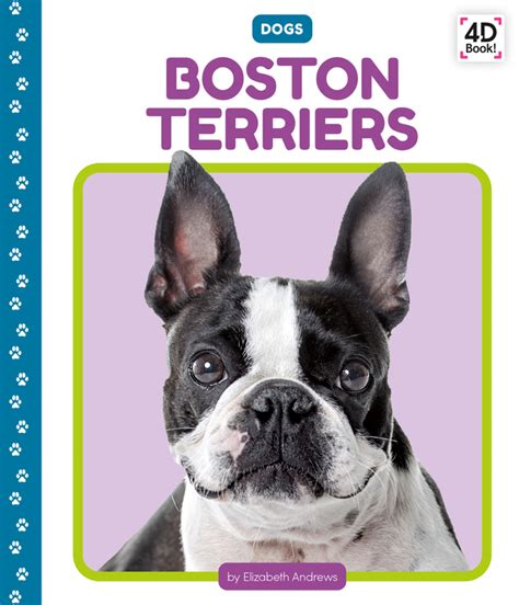 Terriers,