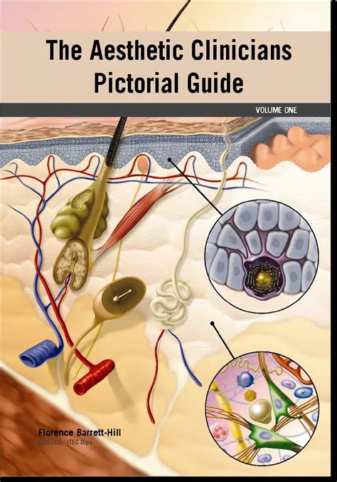 The Aesthetic Clinicians Pictorial Guide Vol 1