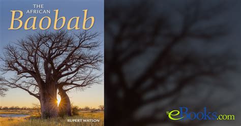The African Baobab