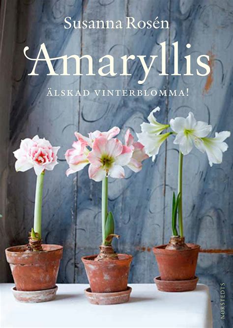 The Amaryllis