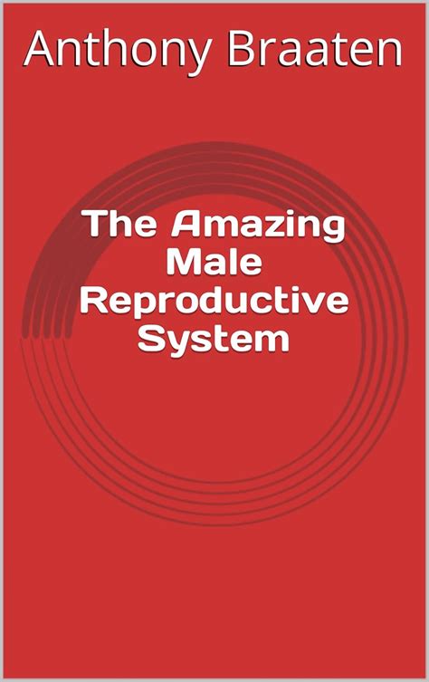 The Amazing Male Reproductive System