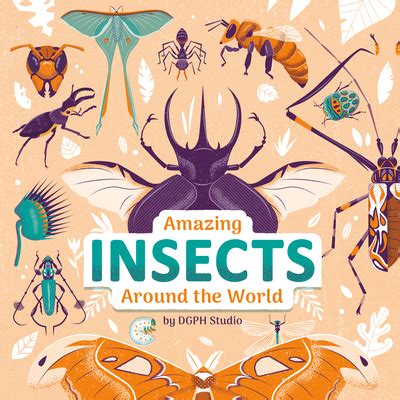The Amazing World of Insects