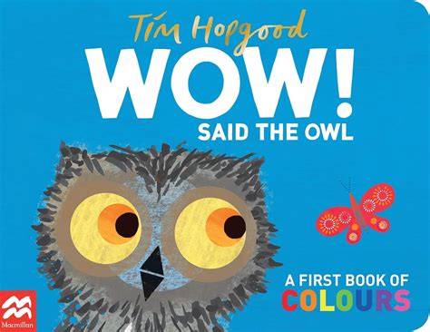 The Amzing Mr Owl