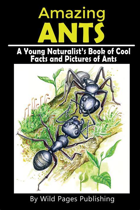 The Ants