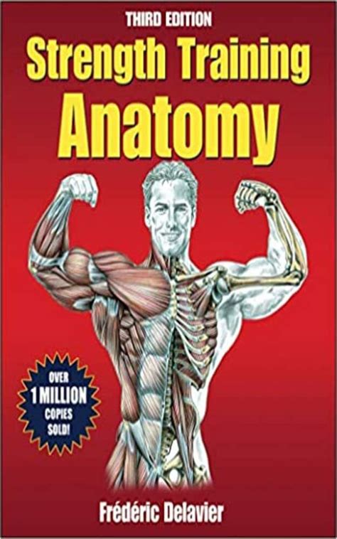 The Basics of Strength Training 3rd edition.