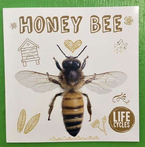 The Bee (Life Cycles)