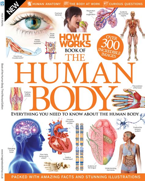 The Body Book (Amazing Science: How Humans Work)