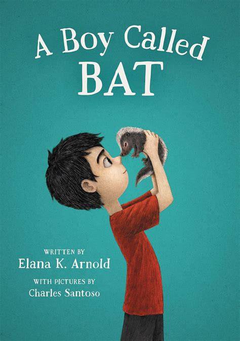 The Boy and the Bat