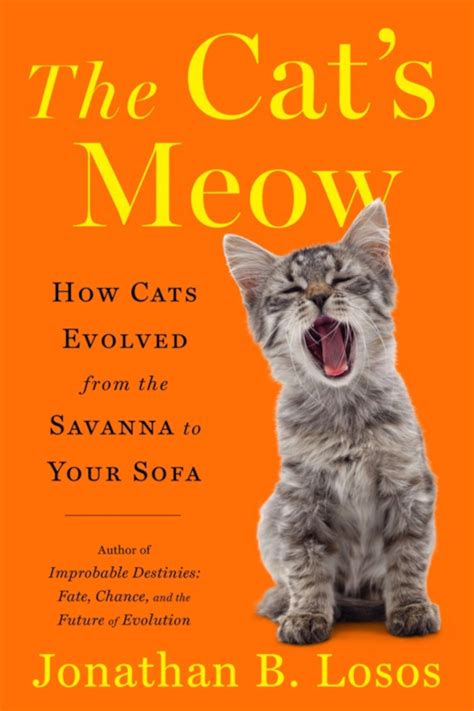 The Case of the Cat's Meow