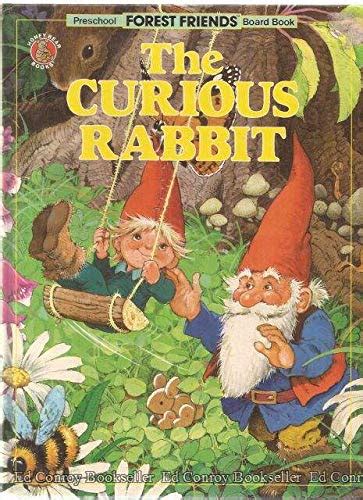 The Curious Rabbit